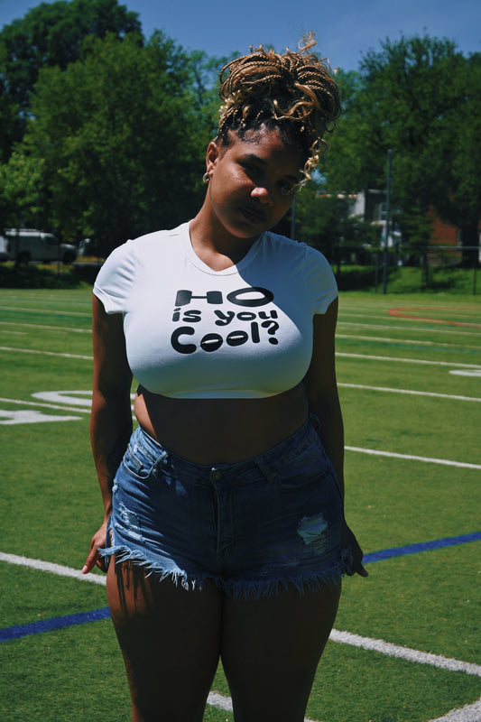 Ho, Is You Cool? Crop Top